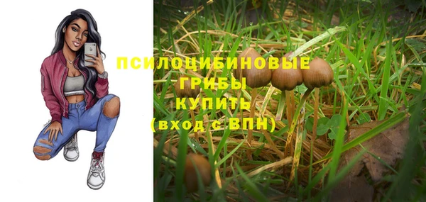 a pvp Медногорск