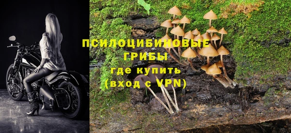 a pvp Медногорск